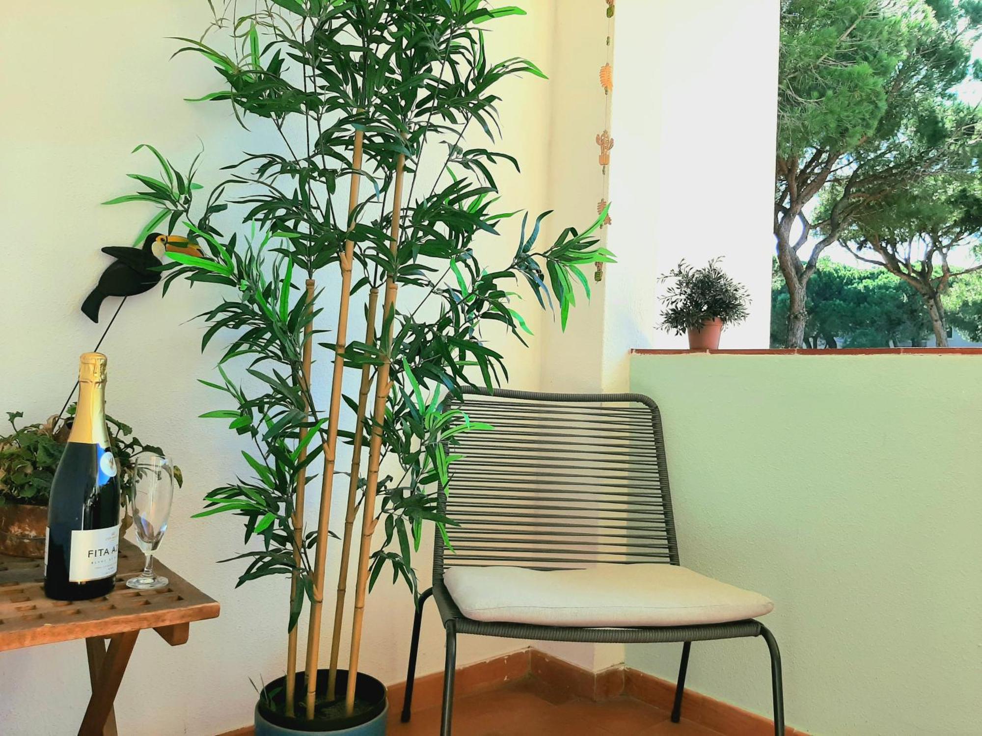 Apartment Amalia อัลบูเฟรา ภายนอก รูปภาพ